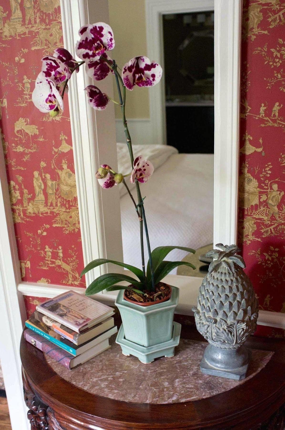 Embrace Calistoga Bed and Breakfast Εξωτερικό φωτογραφία
